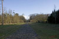 Cjp_2010_03_30_171225 (2).jpg